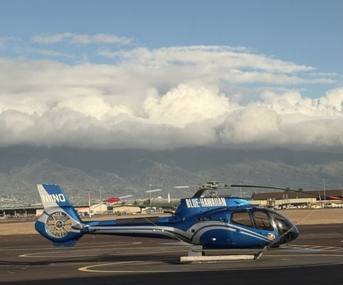Blue Hawaiian Helicopters by null