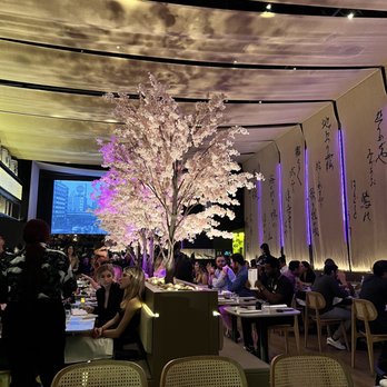 Paperfish Sushi - Indoor Decor (cherry blossoms) - Sushi Bars Near Me - Miami, Florida