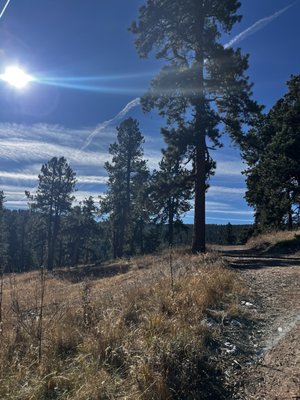 Denver Adventures - Zipline Tours by null
