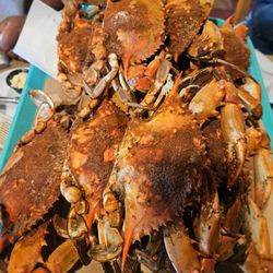 The Wellwood - Large crabs