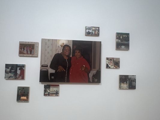 African American Cultural and Heritage Facility by null