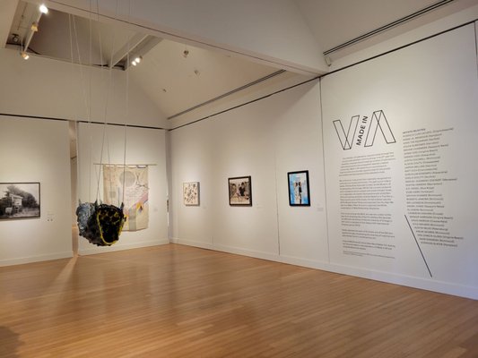 Virginia Museum of Contemporary Art by null