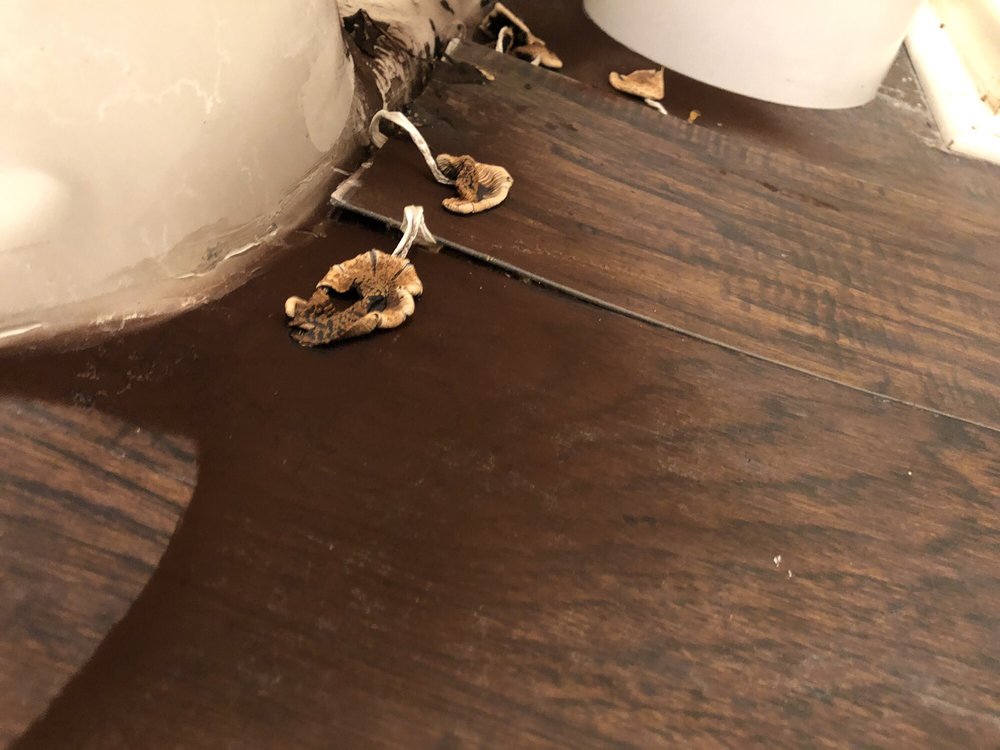 Property Frameworks - veterans service organization in Plano, TX