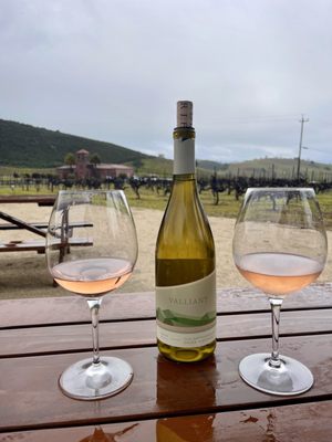 Eden Rift Vineyards by null