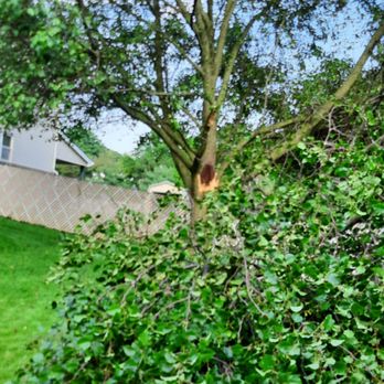 Belles Tree Service - Tree Services Near Me - Allentown, Pennsylvania Belles Tree Service - Tree Services Near Me - Allentown, Pennsylvania