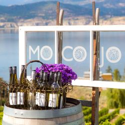 MOCOJO Winery