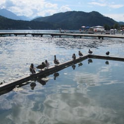 Hotel Klopeinersee
