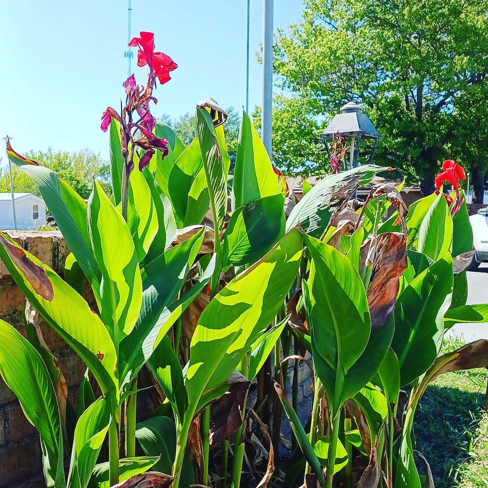 MEADOWBROOK MOBILE HOME PARK Updated June 2024 Request Information 2021 4th Ave NW