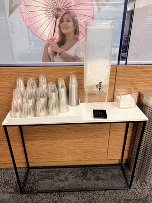 Delta Sky Club by null