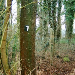 Reher Galgen