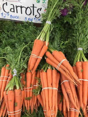 Noe Valley Farmers Market by null