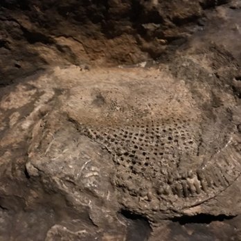 Niagara Cave - Fisherite - Tours Near Me - Harmony, Minnesota Niagara Cave - Fisherite - Tours Near Me - Harmony, Minnesota