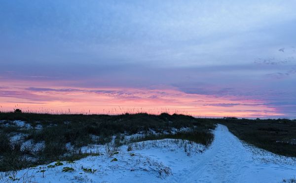 Bean Point Beach by null