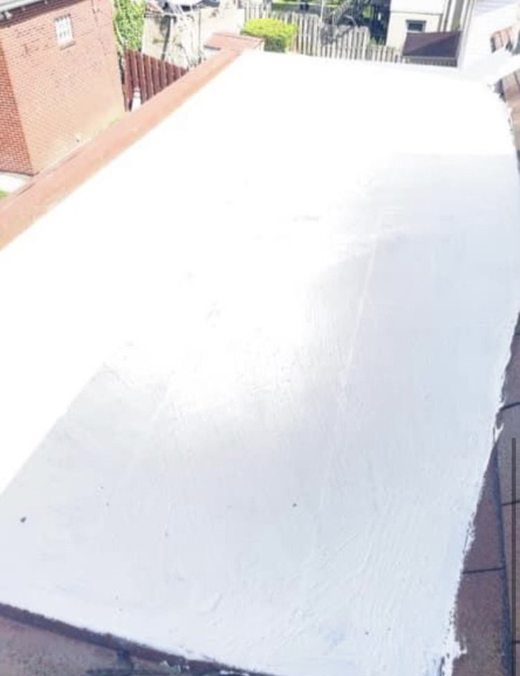 Slide of Sealtech Nation