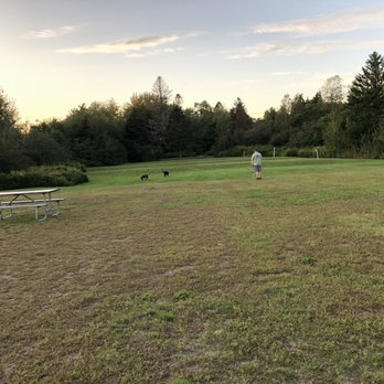 Narrows Too Campground - Huge dog area - RV Parks Near Me - Trenton, Maine