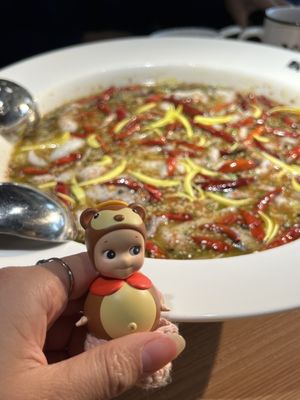 TAI ER SICHUAN CUISINE 太二酸菜鱼 (RICHMOND) by null