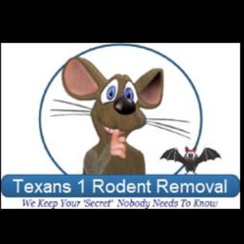 Texans Rodent Removal - Pest Control Near Me - Spring, Texas Texans Rodent Removal - Pest Control Near Me - Spring, Texas