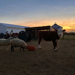 Red Wagon Farm