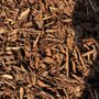 Photo of Bark Blowers