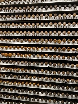 Louisville Slugger Museum & Factory by null