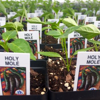Meinke Garden Center - Nurseries & Gardening Near Me - Niles, Illinois