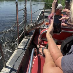 Rajun Cajun Swamp Tours