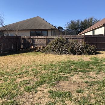 Texas Sun Tree Services - After - Tree Services Near Me - San Antonio, Texas