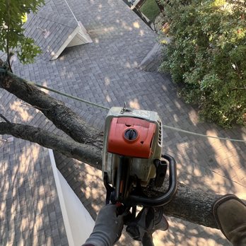 Walmer H Tree Service - Tree Services Near Me