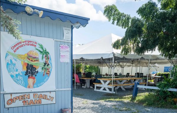 Cheeseburger in Paradise by null