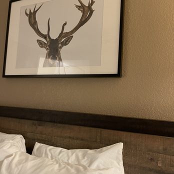 Inn at Mount Shasta - Room art - Hotels Near Me - Mount Shasta, California