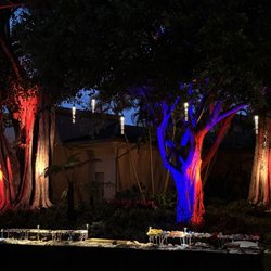 Tales of the Kapa Moe Luau - Outdoor evening ambiance.