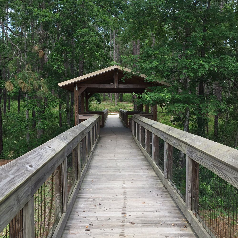 Falling Waters State Park - The cover bridge. - Parks Near Me - Chipley, Florida Falling Waters State Park - The cover bridge. - Parks Near Me - Chipley, Florida