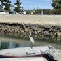 Photo of Driscoll's Wharf