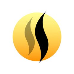 Shenango Spine Center - SSC Logo Only.jpg