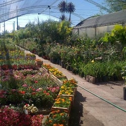 Vivero D´ la Villa