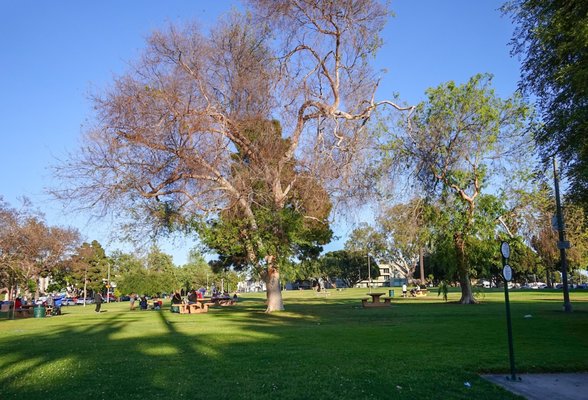 BIXBY PARK - Updated September 2024 - 234 Photos & 70 Reviews - 130 ...