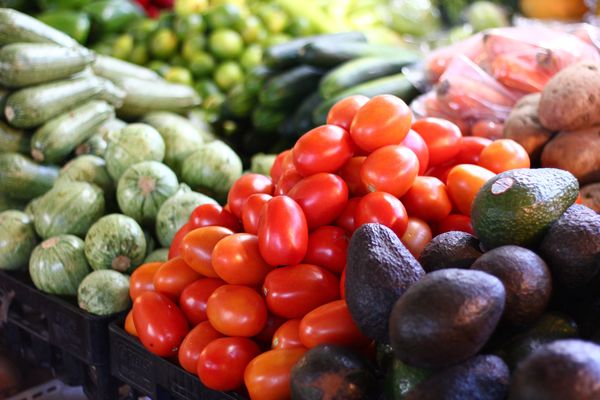 Canino Produce by null