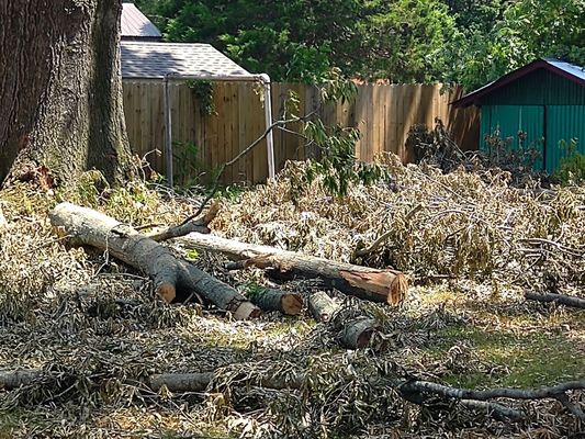 COX TREE REMOVAL - Jackson, Tennessee - Tree Services - Phone Number - Yelp
