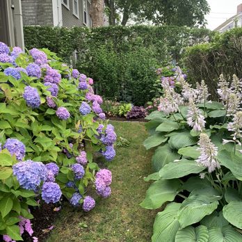 Deborah L. Wilson Garden Services - Example of narrow space landscapes - Landscaping Near Me - Nantucket, Massachusetts