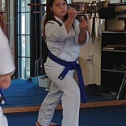 Freeman's Shorin-Ryu Karate