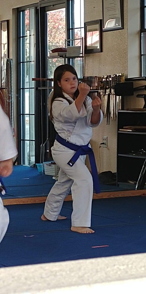 Freeman's Shorin-Ryu Karate Logo
