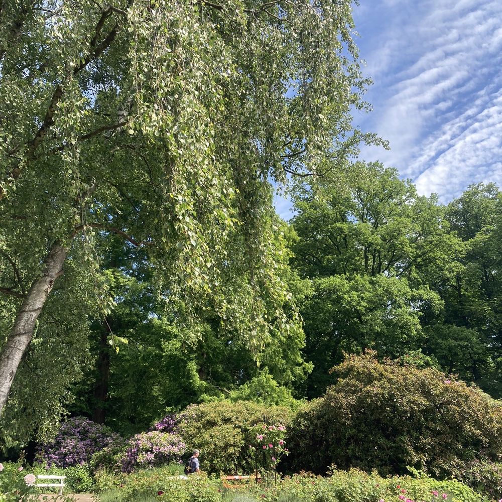 Schlossgarten - Parks Near Me - Oldenburg, NI