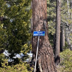 After almost 6 miles, I was happy to see the easiest route back to the lodge!