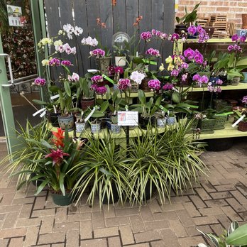 Gethsemane Garden Center - Nurseries & Gardening Near Me - Chicago, Illinois Gethsemane Garden Center - Nurseries & Gardening Near Me - Chicago, Illinois