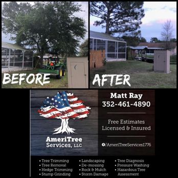 AmeriTree Services - Removal - Tree Services Near Me