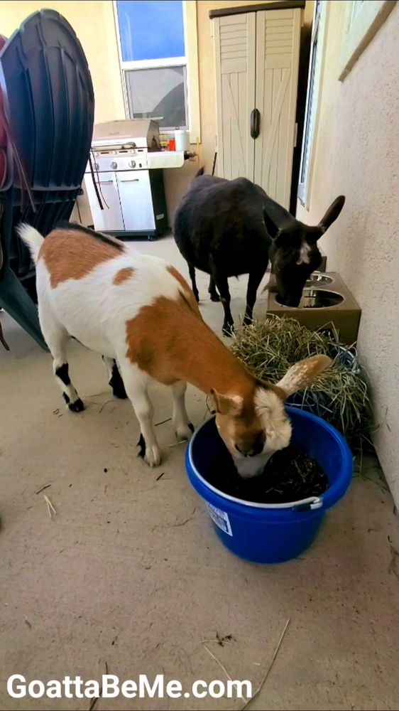Jill's Feed & Supply Image