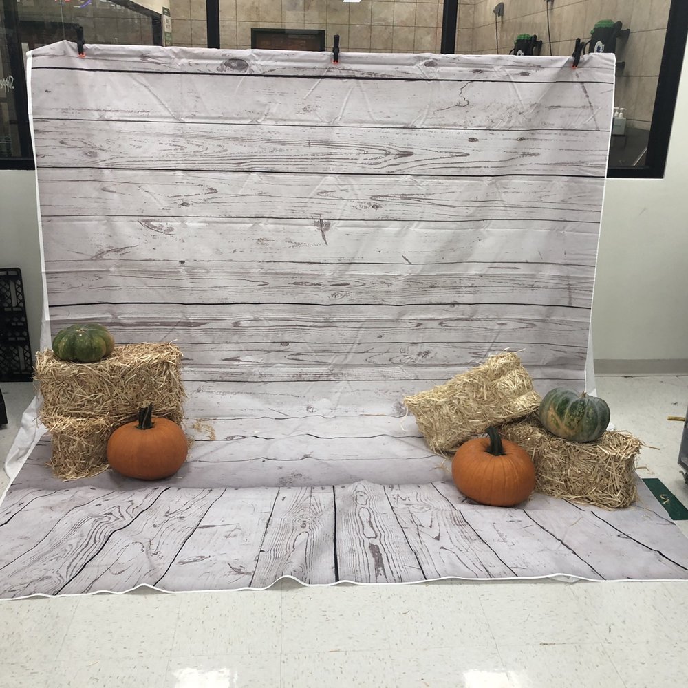 Pet Supplies Plus Richardson - Photo center for pets - Pet Stores Near Me - Richardson, Texas Pet Supplies Plus Richardson - Photo center for pets - Pet Stores Near Me - Richardson, Texas
