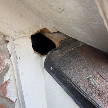 The Critter Crew - Common entry point on roof returns, made by rats and squirrels. - Wildlife Control Near Me - Dallas, Texas The Critter Crew - Common entry point on roof returns, made by rats and squirrels. - Wildlife Control Near Me - Dallas, Texas