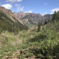 Lake Blanche Trail - About halfway-ish, looking back down the canyon