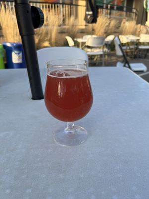 Steel Toe Brewing by null